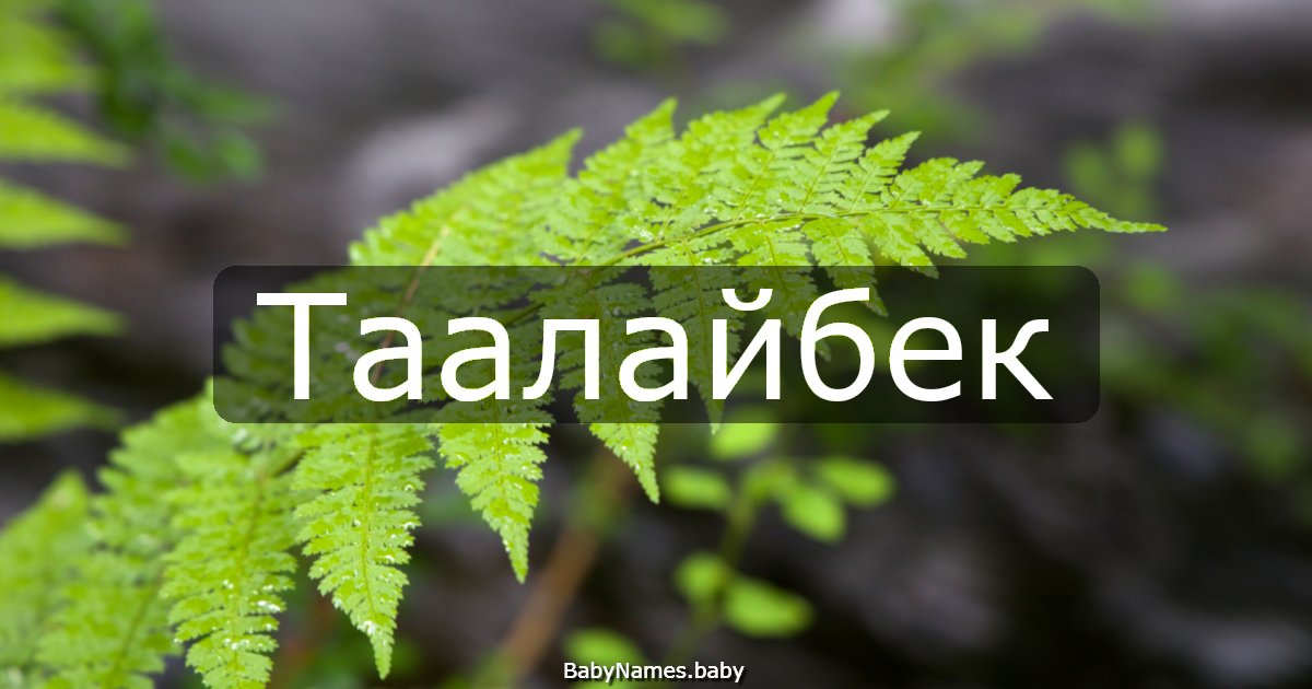 Таалайбек