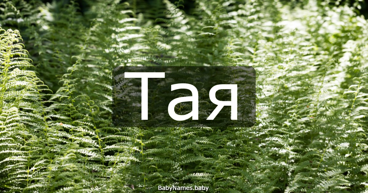 Тая