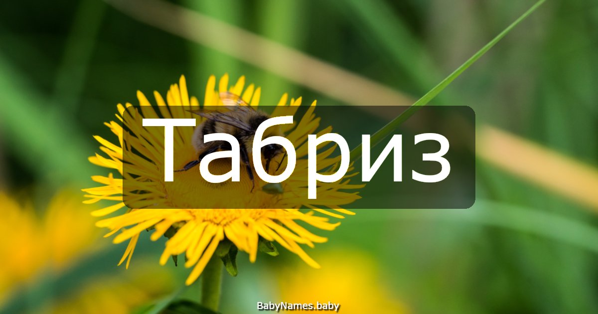 Табриз