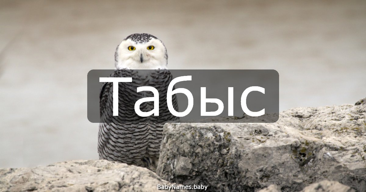 Табыс