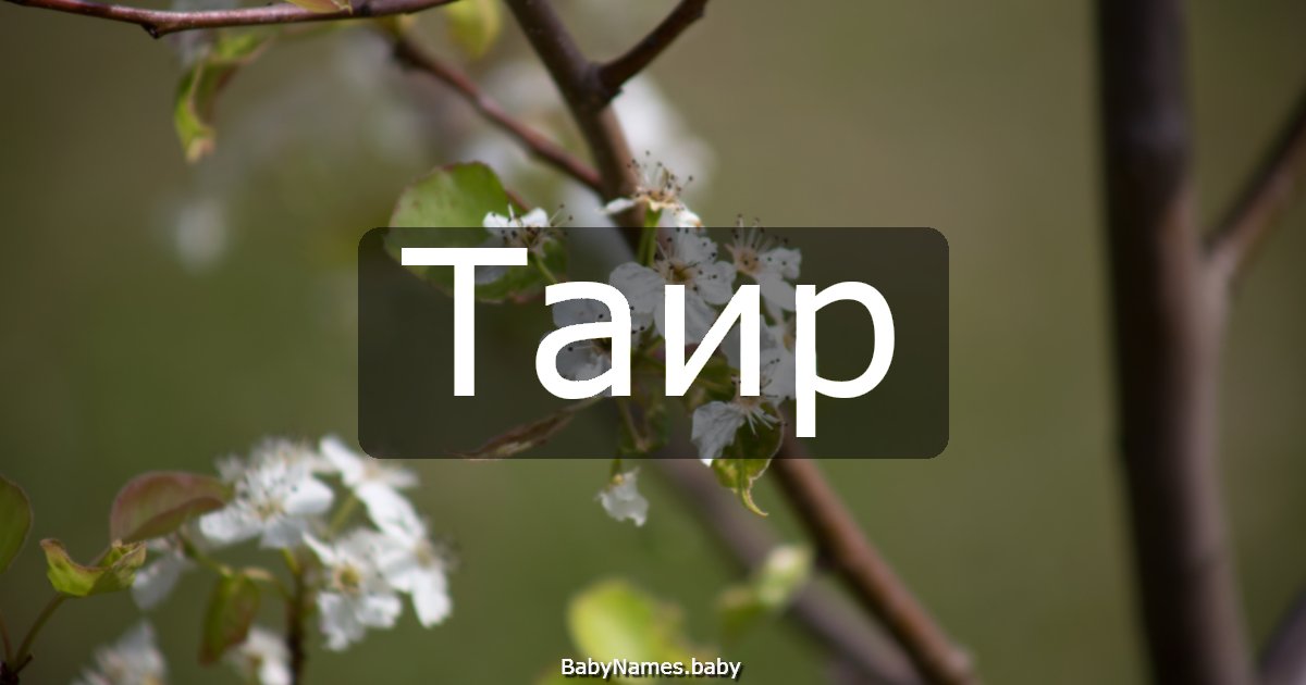 Таир