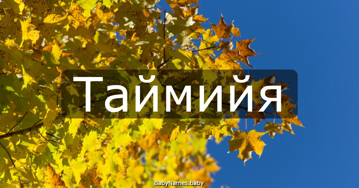 Таймийя