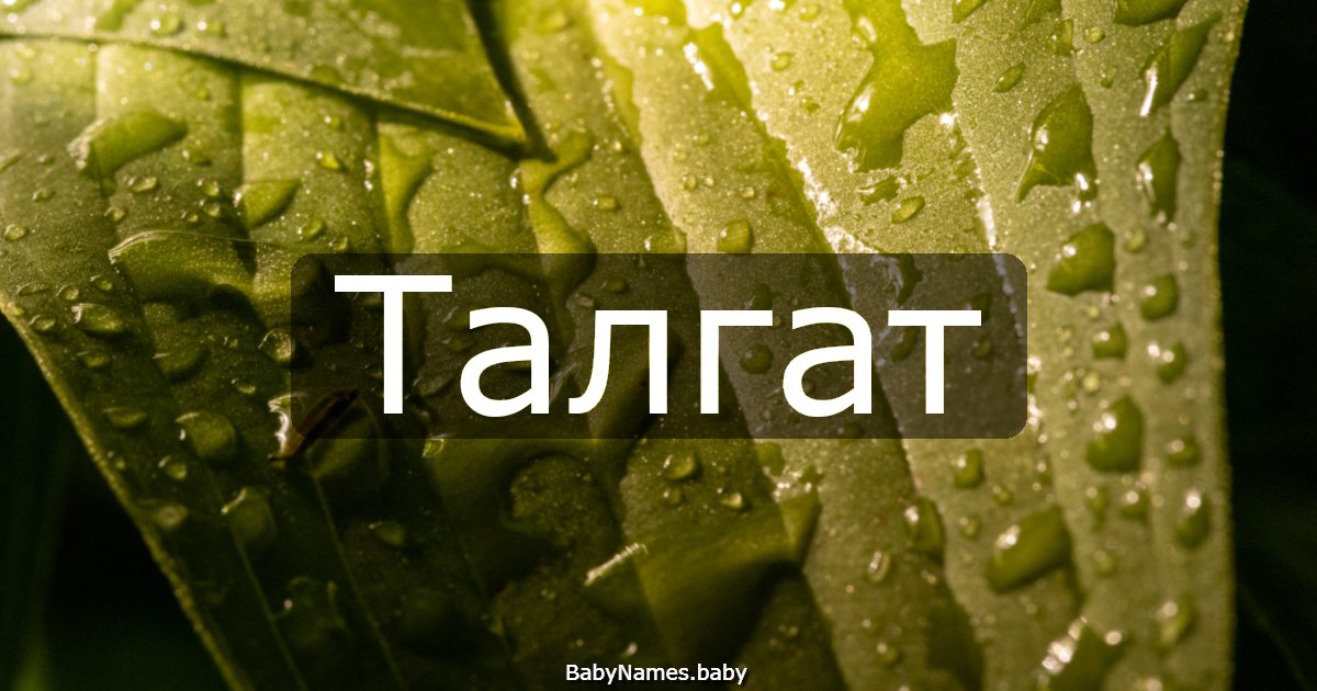 Талгат