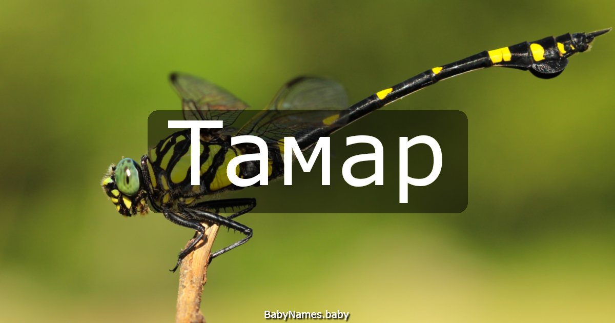 Тамар