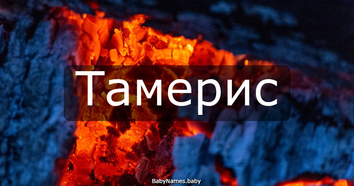 Тамерис