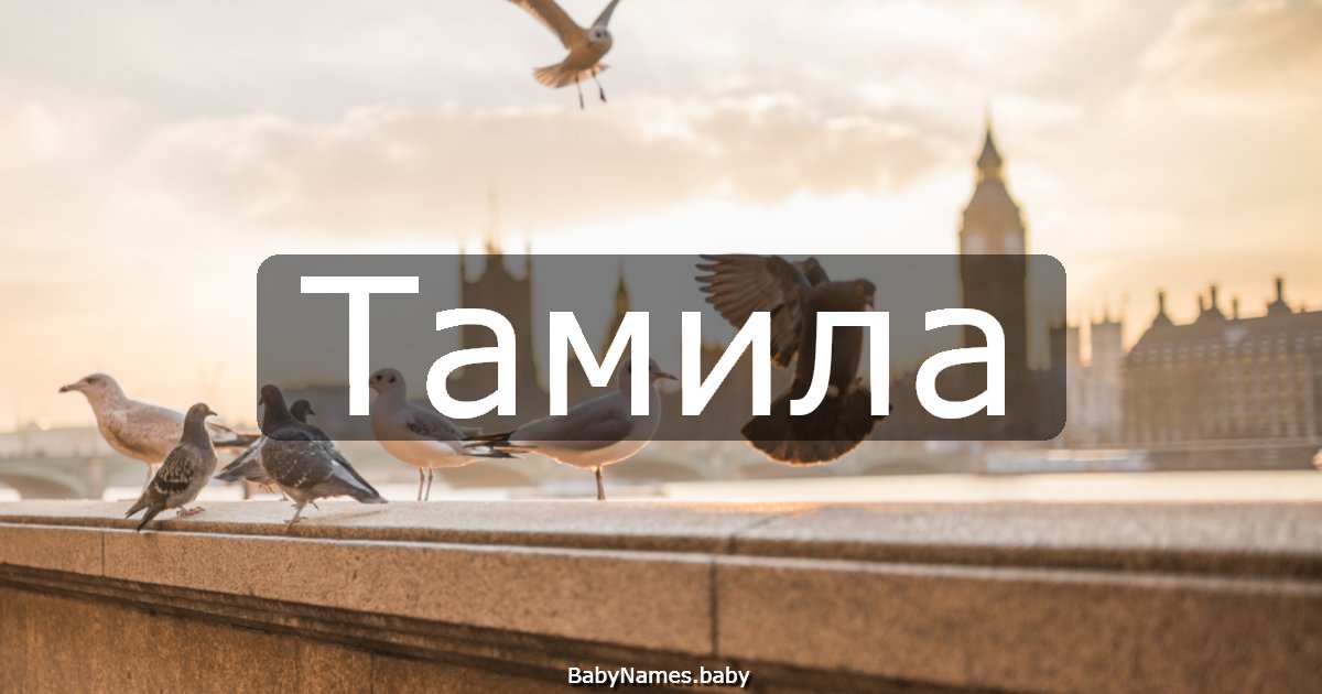 Тамила