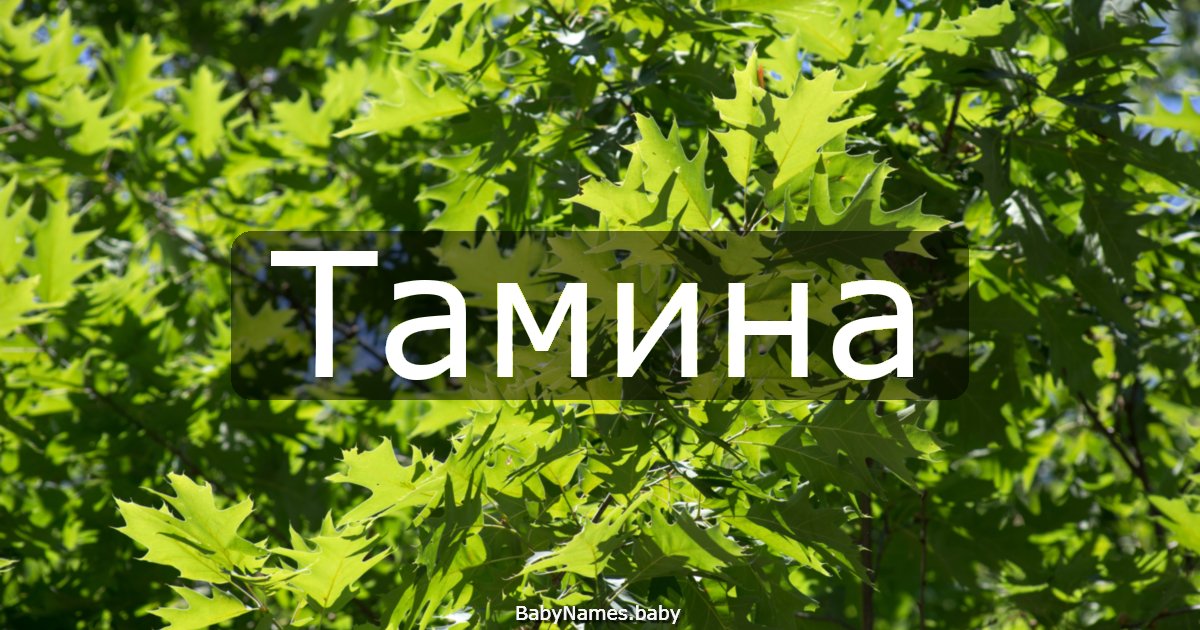Тамина