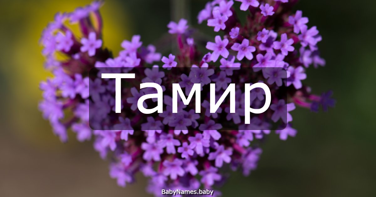 Тамир