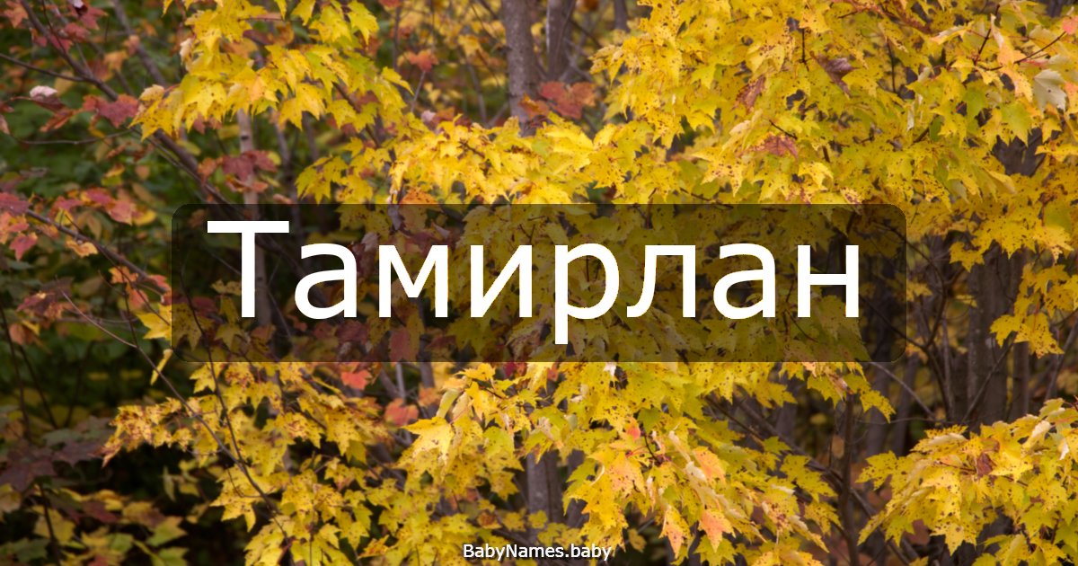 Тамирлан