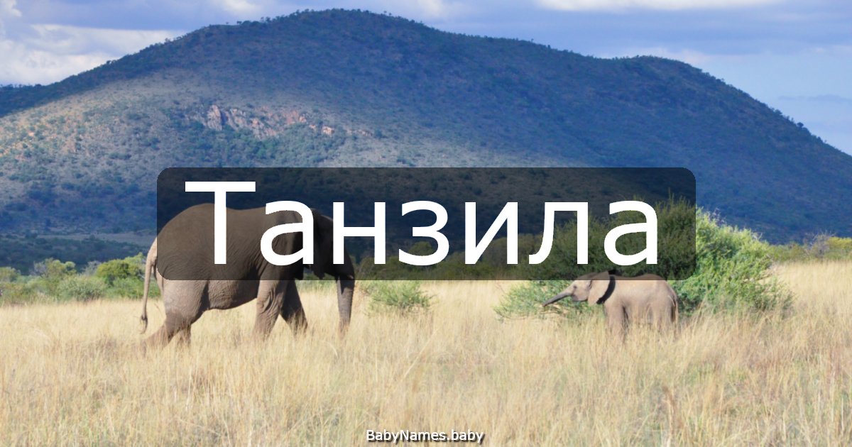 Танзила