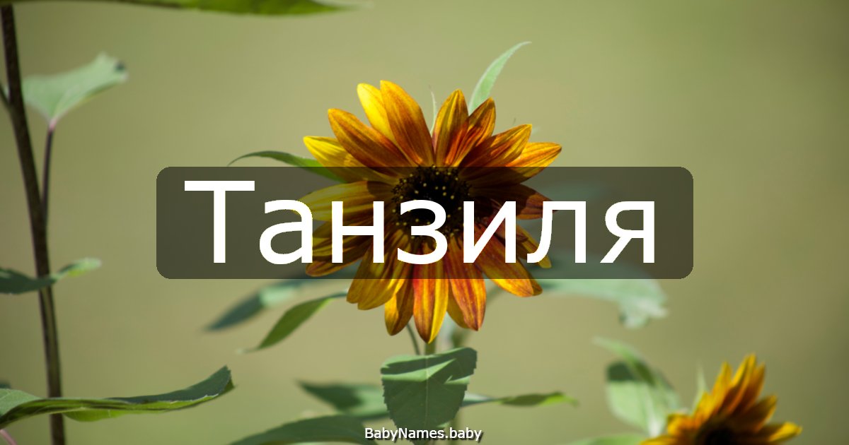 Танзиля