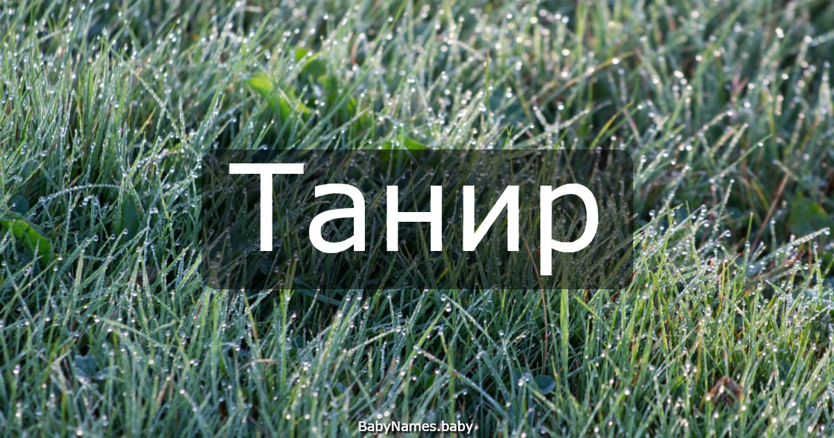 Танир