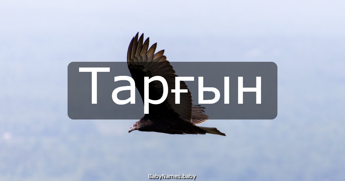 Тарғын