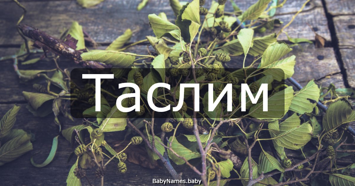 Таслим