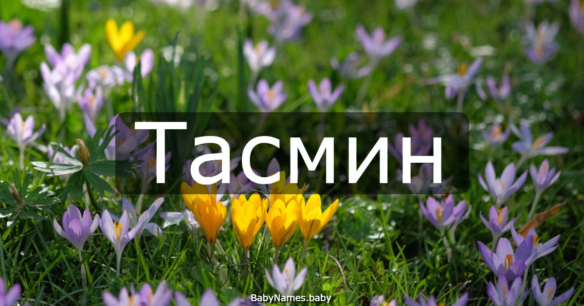 Тасмин