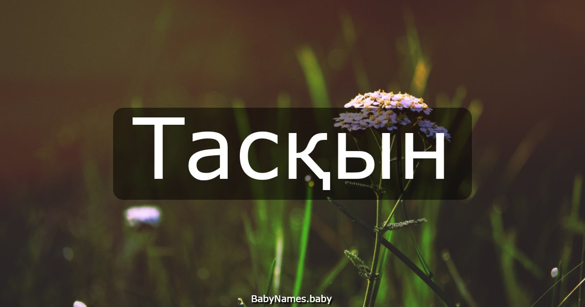 Тасқын