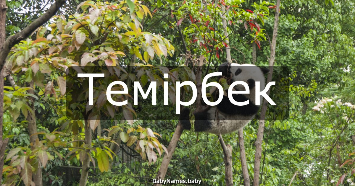 Темірбек
