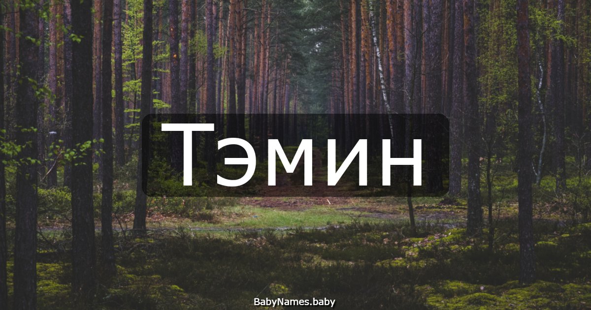 Тэмин