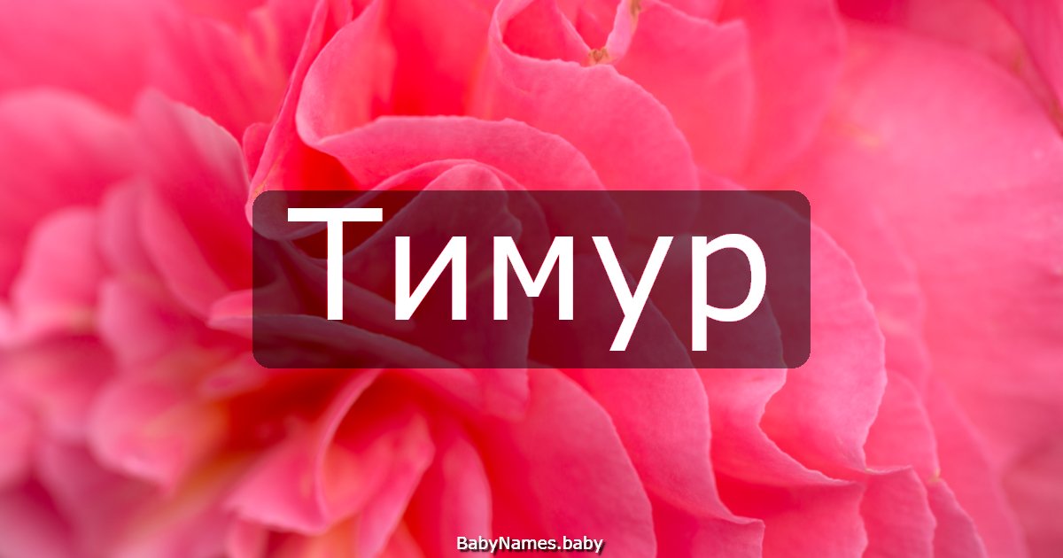 Тимур