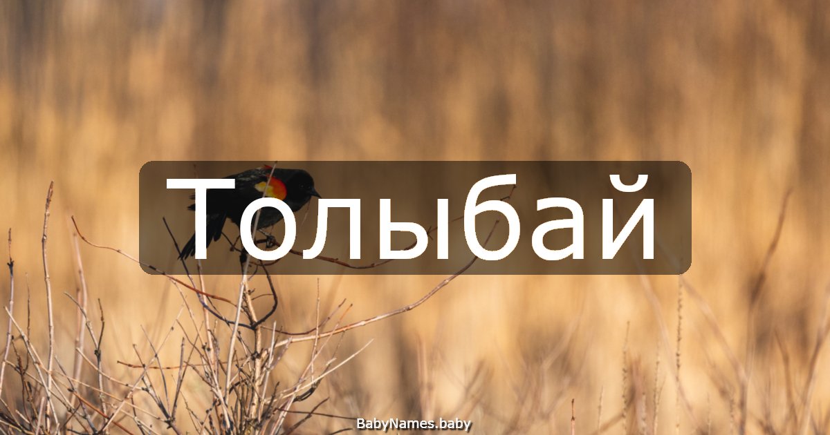 Толыбай