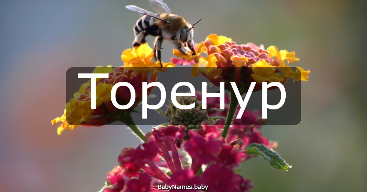 Торенур