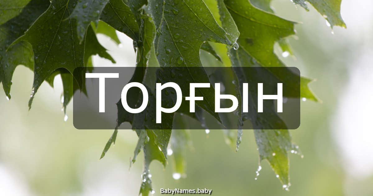 Торғын