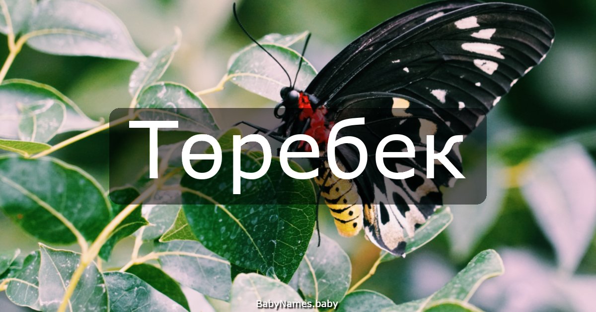 Төребек