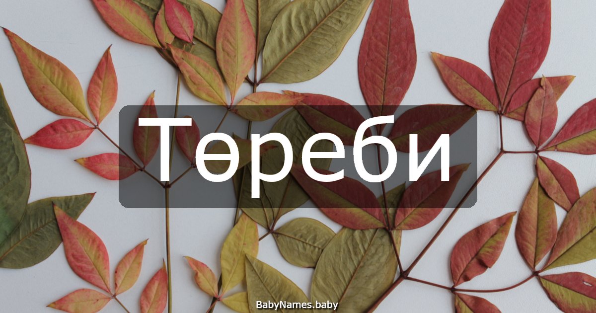 Төреби