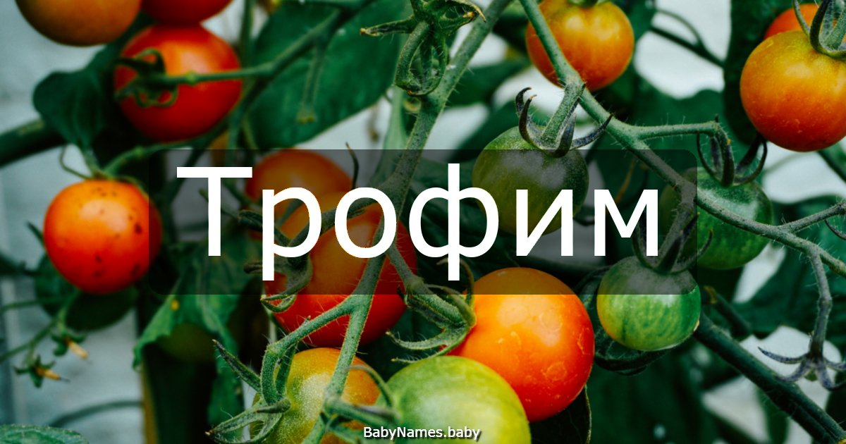 Трофим