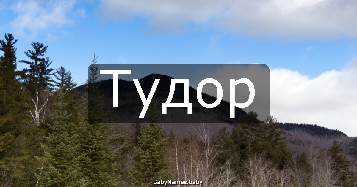 Тудор