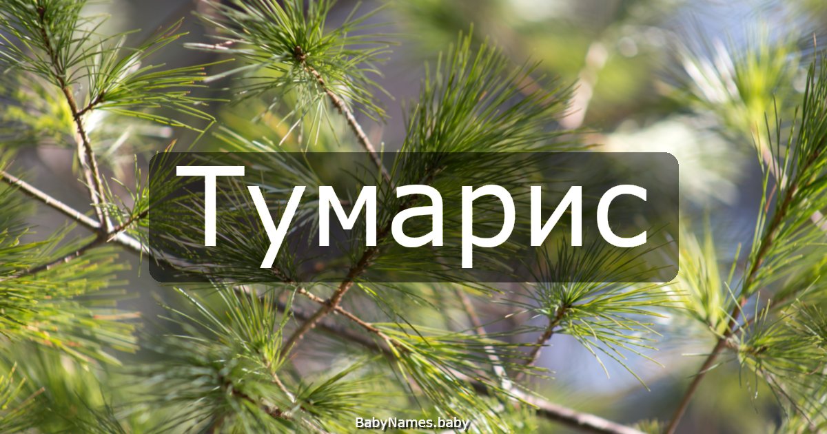 Тумарис