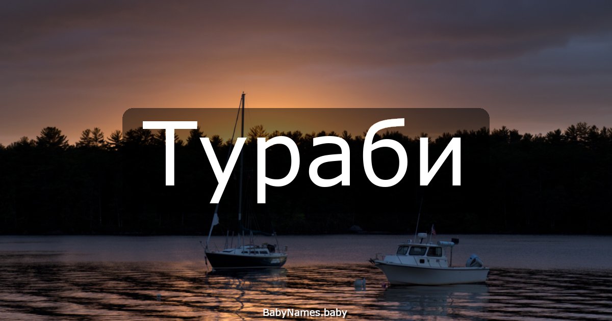 Тураби