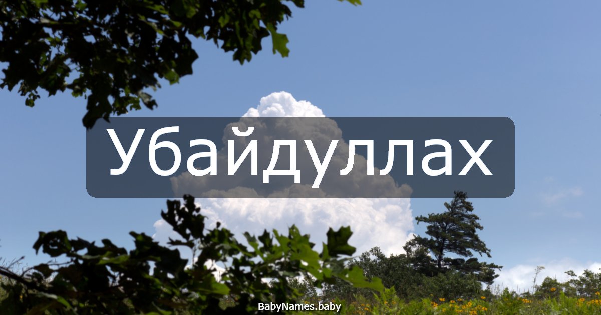 Убайдуллах