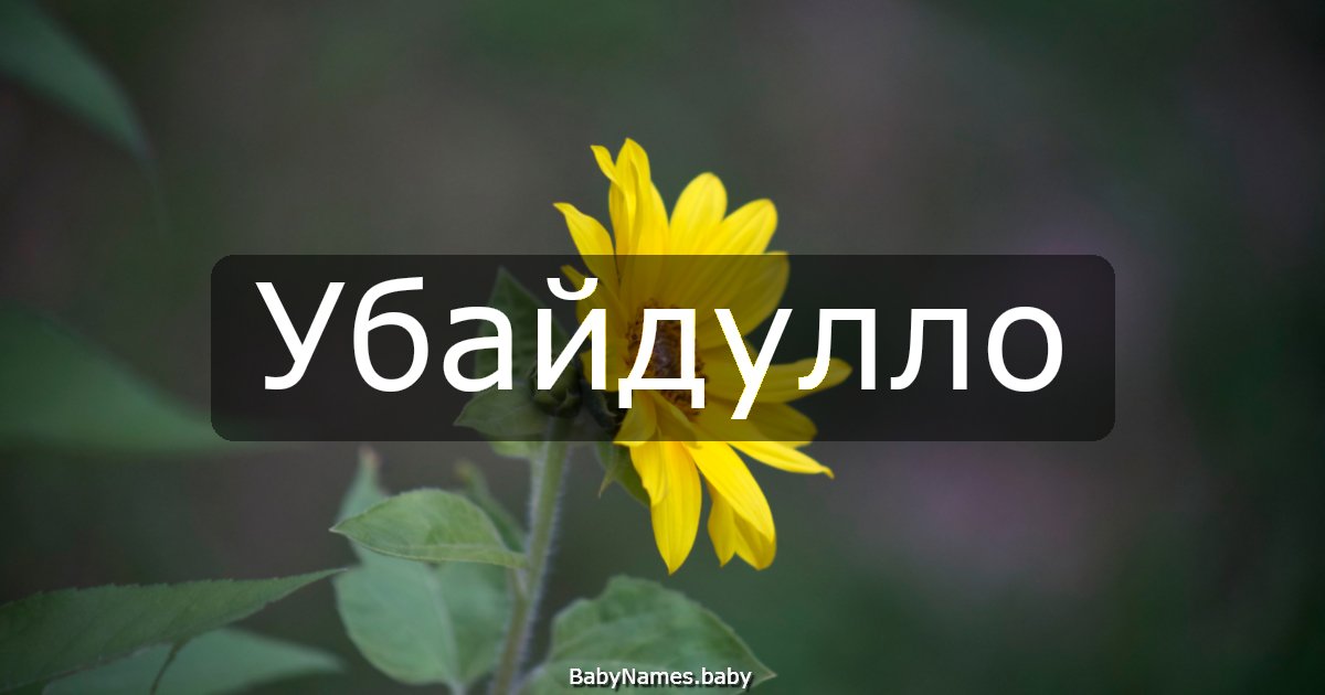 Убайдулло