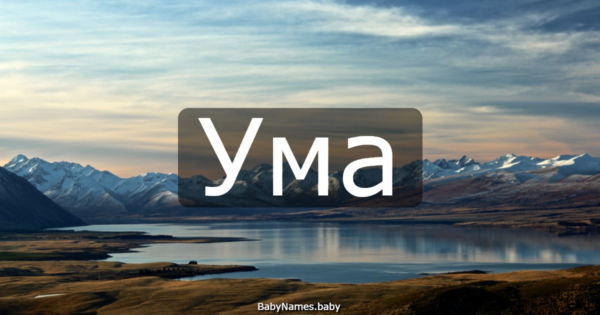 Ума