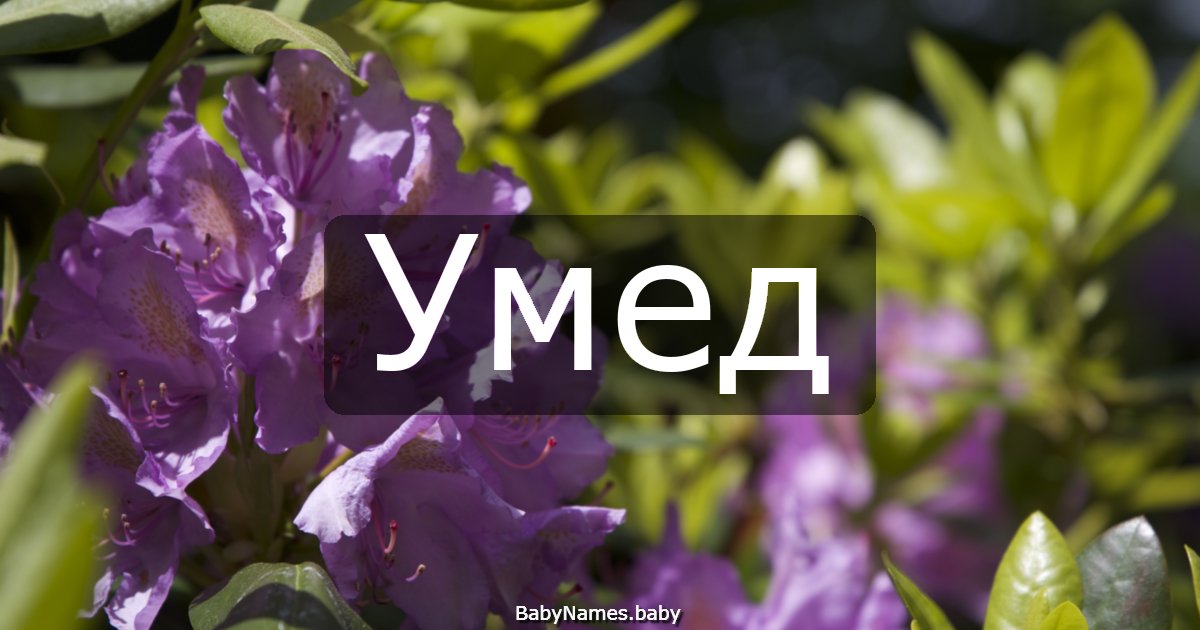 Умед