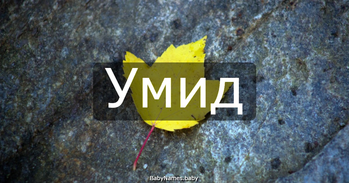 Умид