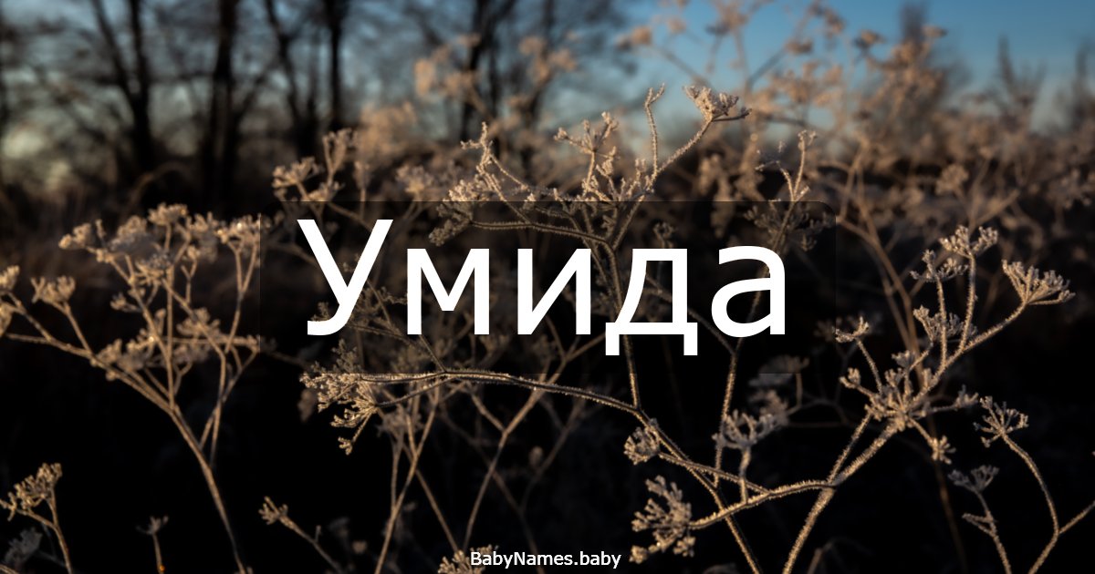 Умида