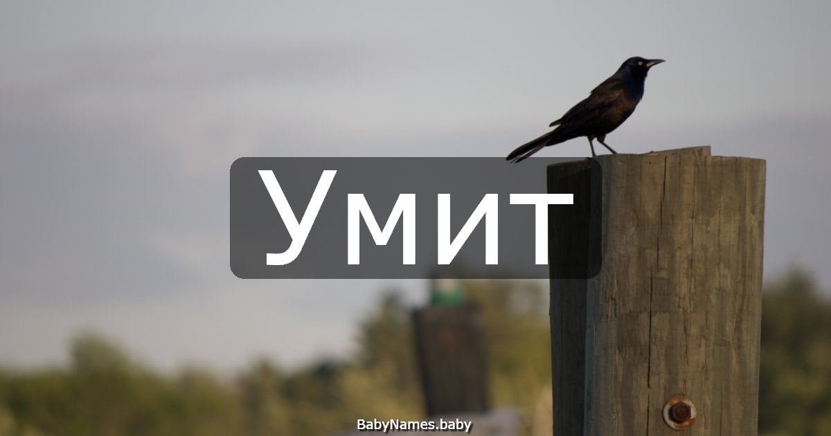 Умит