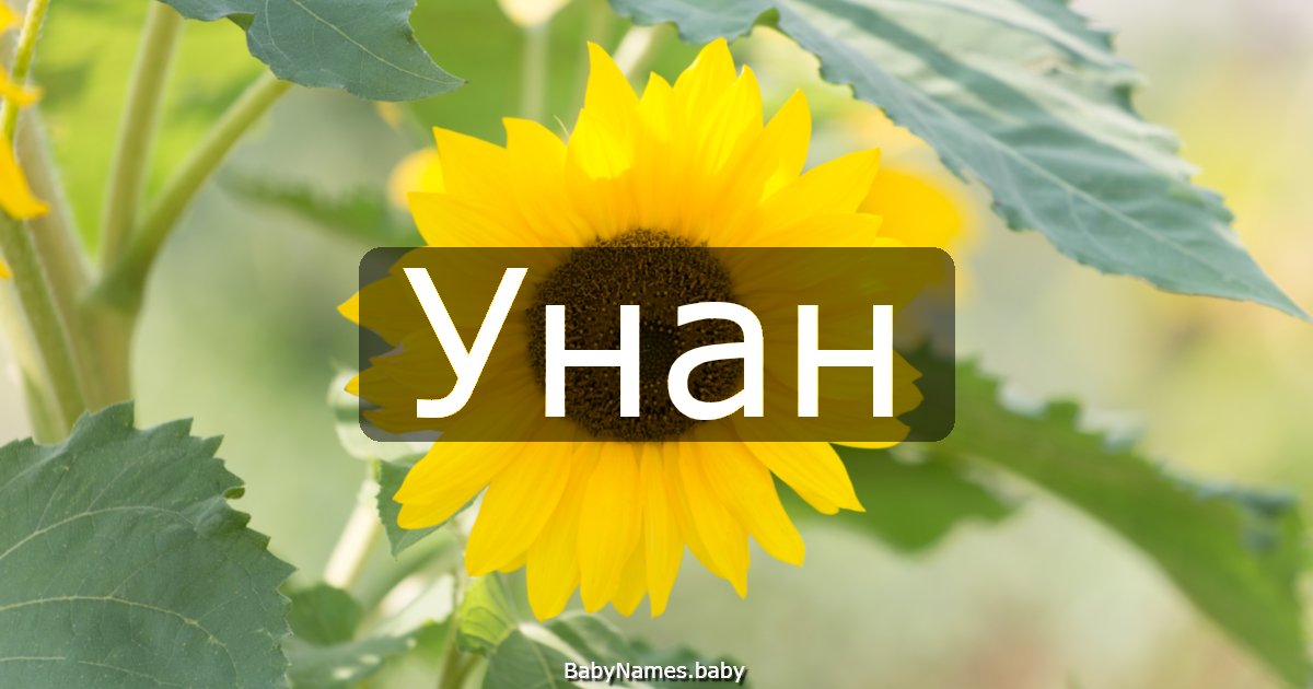 Унан