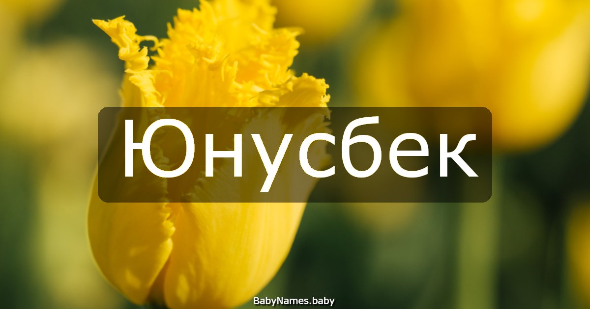 Юнусбек