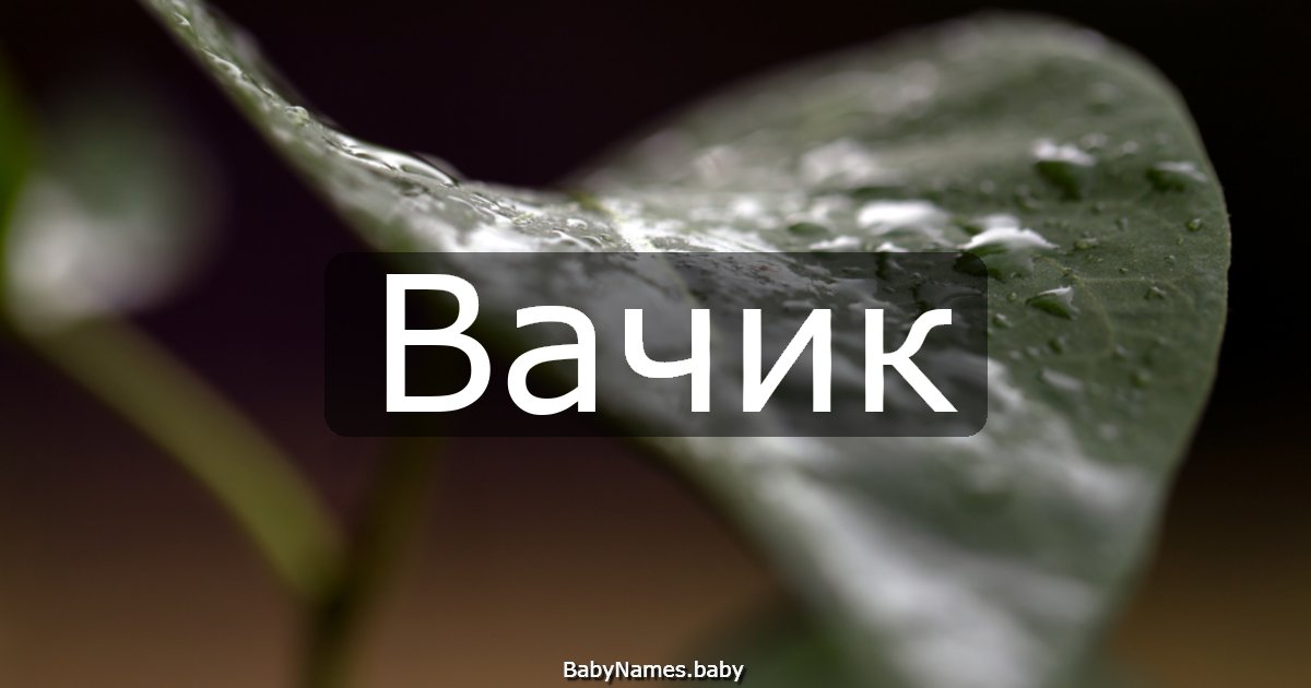 Вачик