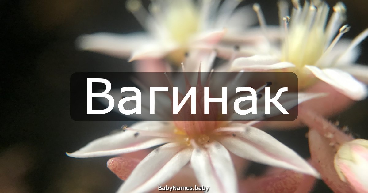 Вагинак
