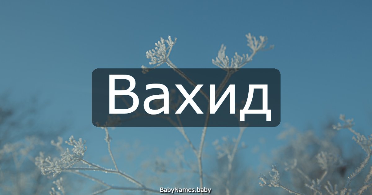 Вахид