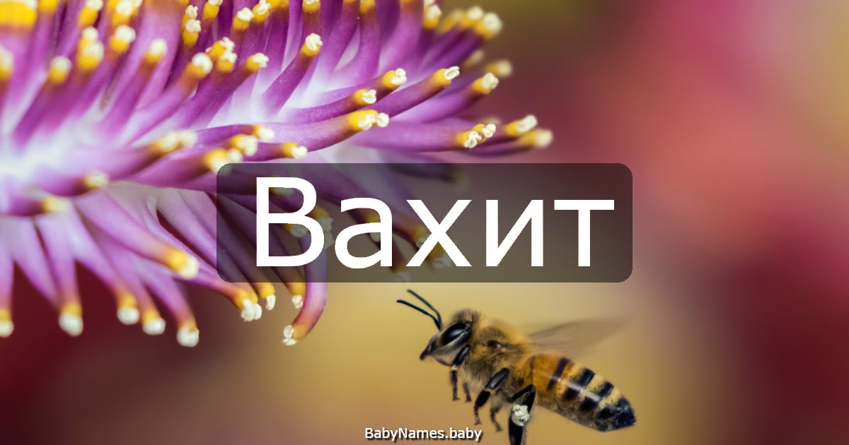 Вахит