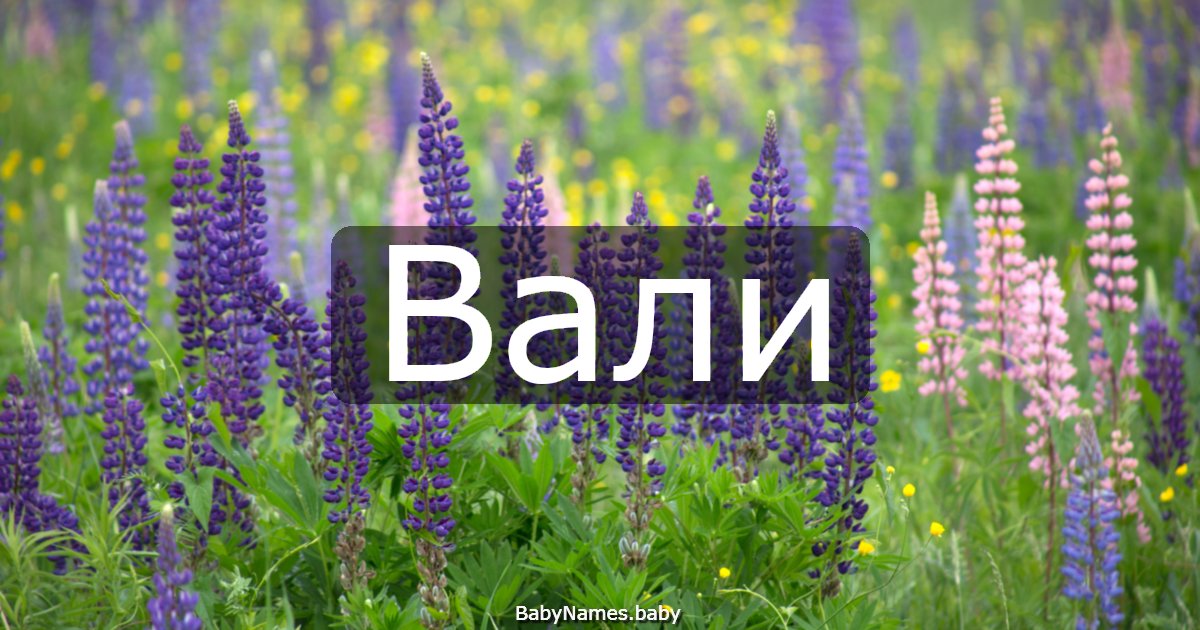 Вали