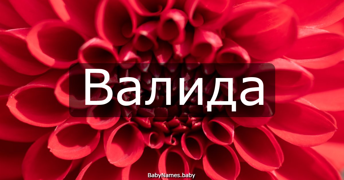 Валида