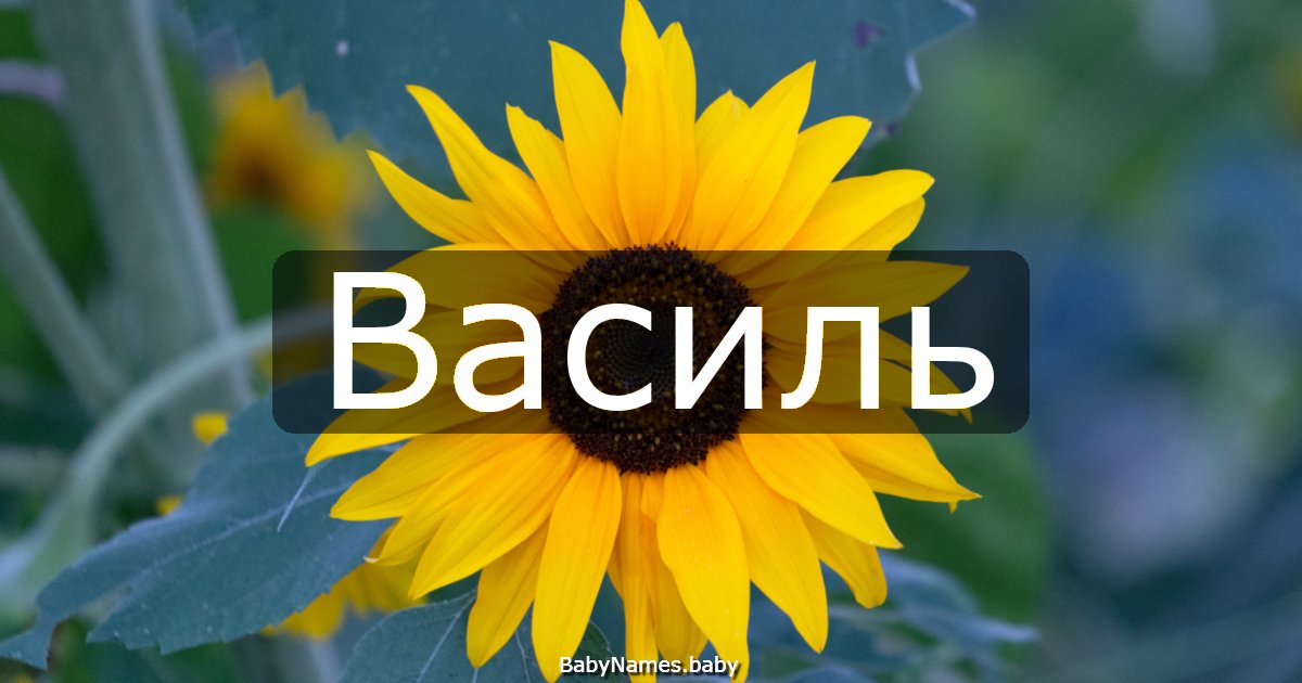 Василь