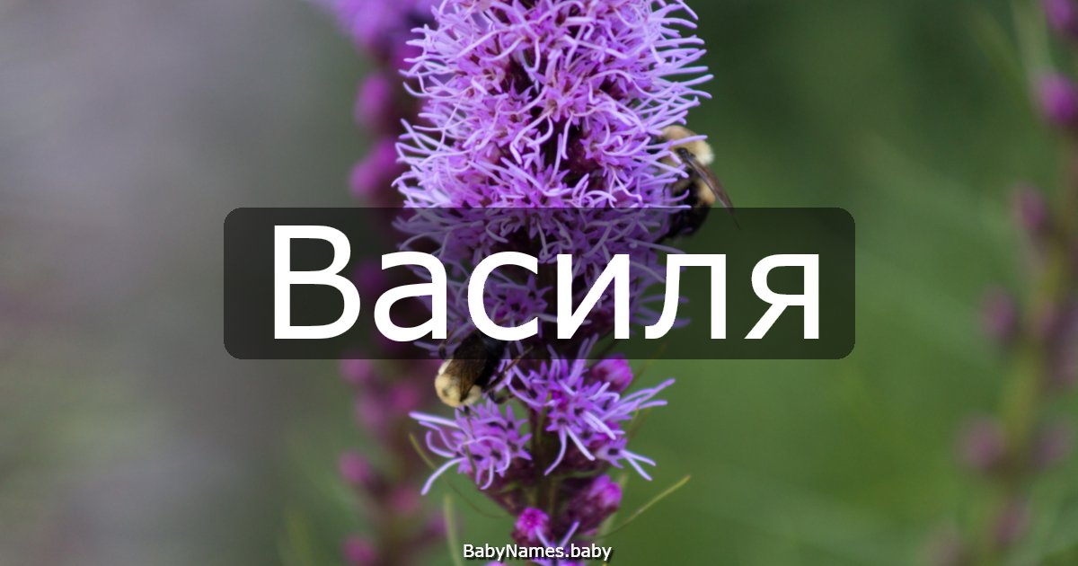 Василя