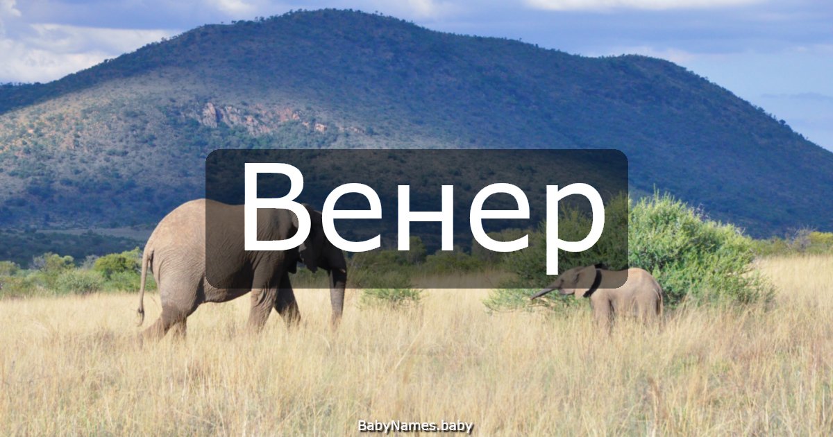 Венер